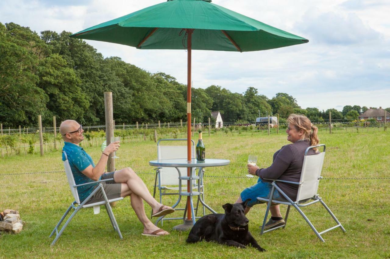 Quex Livery Glamping バーチントン エクステリア 写真